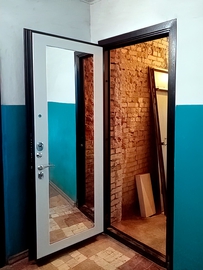 Металлическая дверь с зеркальной панелью