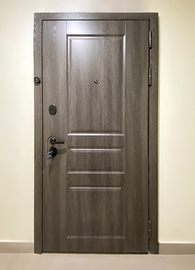 Стальная дверь в квартиру