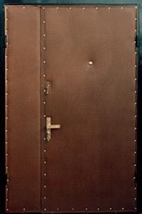 Тамбурная дверь с боковой вставкой
