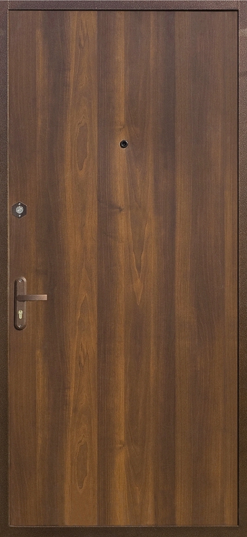 Дверь с порошковым напылением PN 99