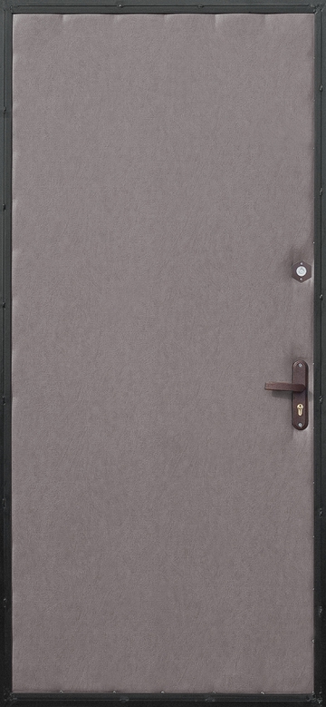 Дверь с порошковым напылением PN29