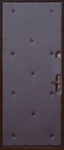 Дверь с порошковым напылением и винилискожей PN34