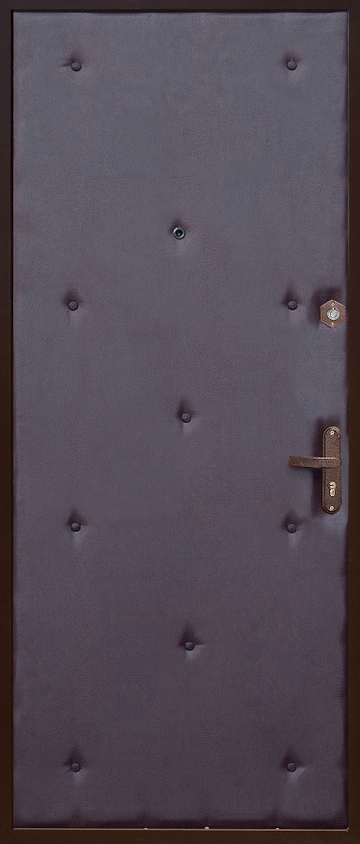 Дверь с порошковым напылением и винилискожей PN34