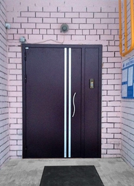 Двупольная дверь с декоративными вставками
