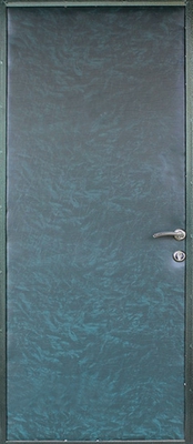 Дверь с порошковым напылением PN 62