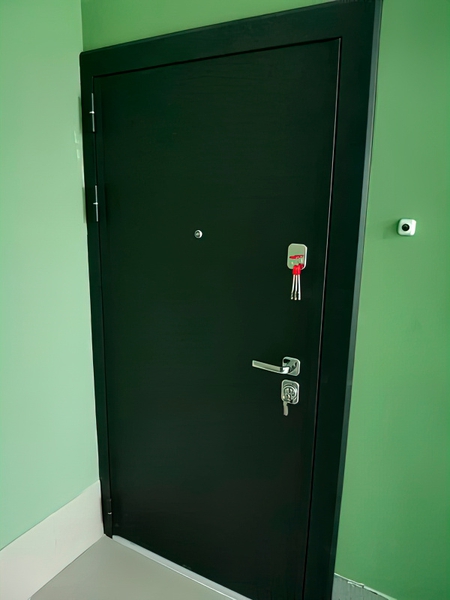 Дверь с черной порошковой отделкой