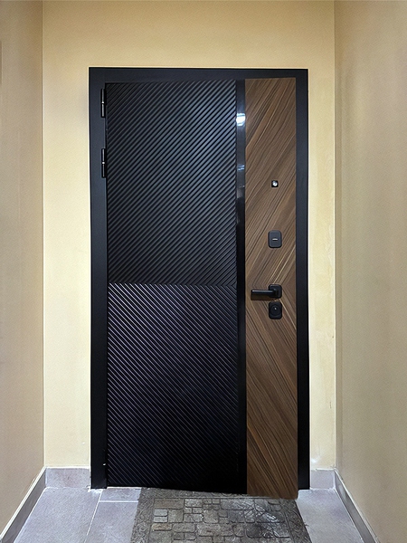 Дверь с двухцветной панелью