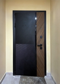 Дверь с двухцветной панелью