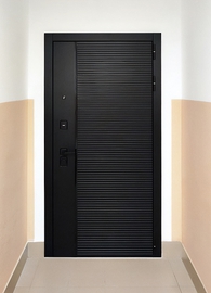 Дверь с МДФ черного цвета