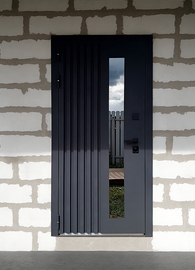 Дверь с металлорейками