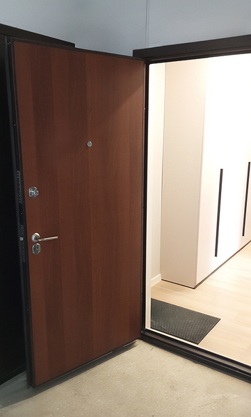 Дверь с панелью ЛДСП