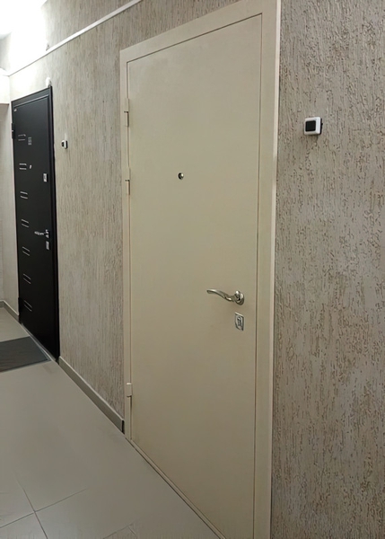 Дверь с покраской с внешней стороны