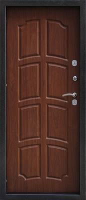 Дверь с порошковым напылением PN 125