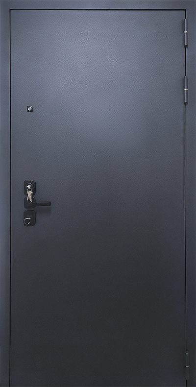 Дверь с порошковым напылением PN 199