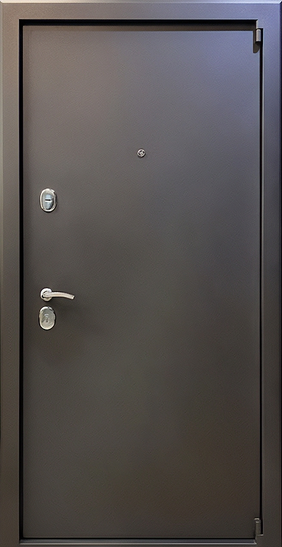 Дверь с порошковым напылением PN 250