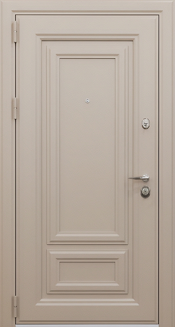 Дверь с порошковым напылением PN 251