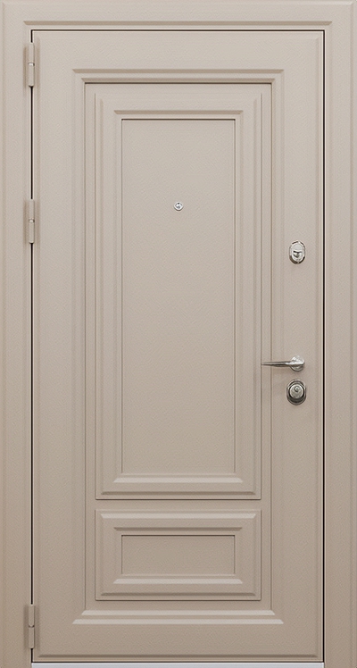 Дверь с порошковым напылением PN 251