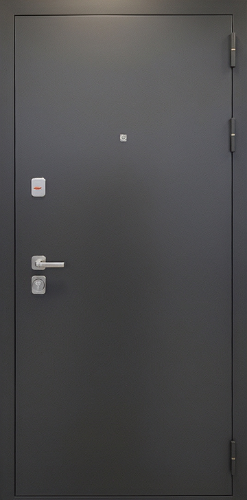 Дверь с порошковым напылением PN 252