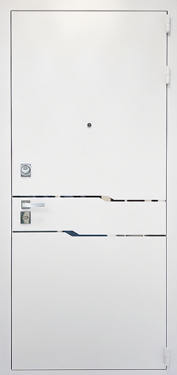 Дверь с порошковым напылением PN 256