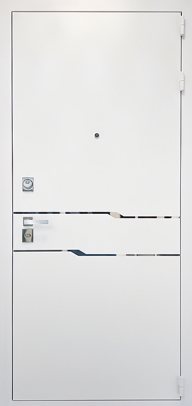 Дверь с порошковым напылением PN 256