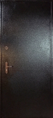 Техническая дверь TD10