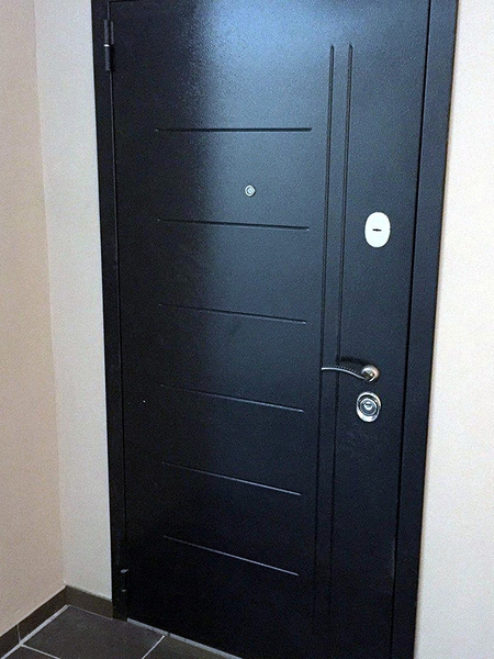 Дверь с рисунком на металле