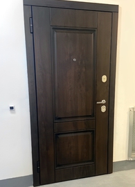 Дверь с темно-коричневой панелью