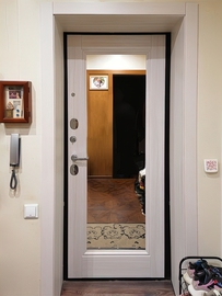 Дверь для квартиры с зеркалом