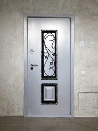 Дверь серого цвета