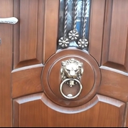 Фото элитной двери со стукалкой «Лев»