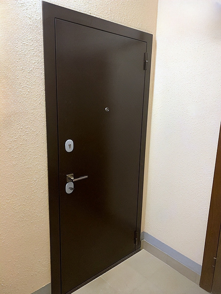 Дверь в квартиру