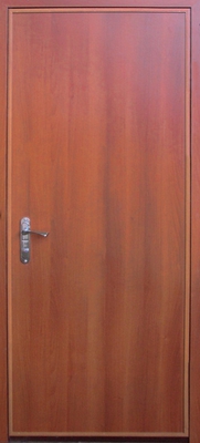 Дверь с порошковым напылением и ковкой PN 134
