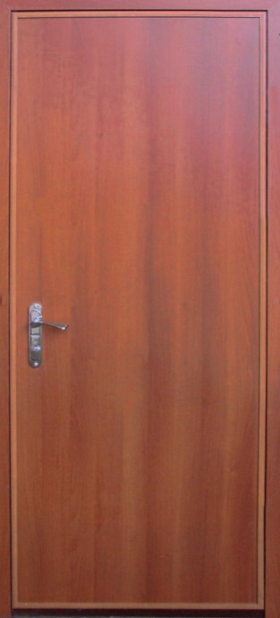 Дверь с порошковым напылением и ковкой PN 134
