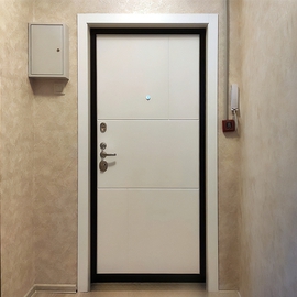 Дверь в прихожей квартиры