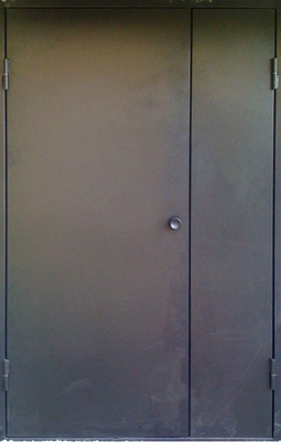 Дверь с порошковым напылением PN 143