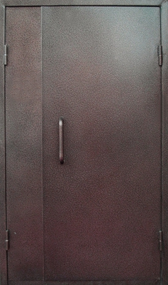 Дверь с порошковым напылением PN 145