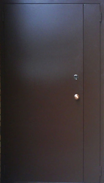 Дверь с порошковым напылением PN 146