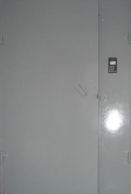 Дверь с порошковым напылением PN 147