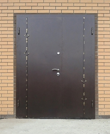 Двупольная дверь с коваными элементами