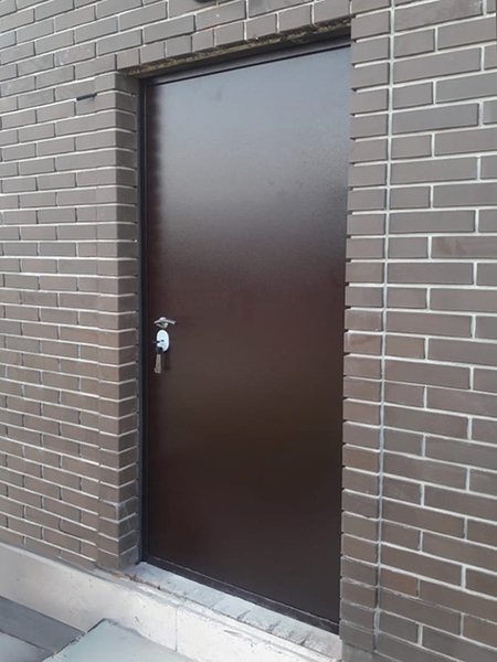 Глухая дверь с полимерной отделкой