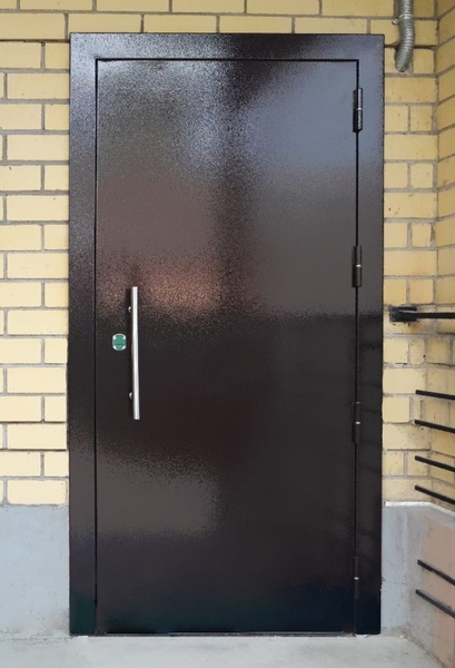 Глухая порошковая дверь