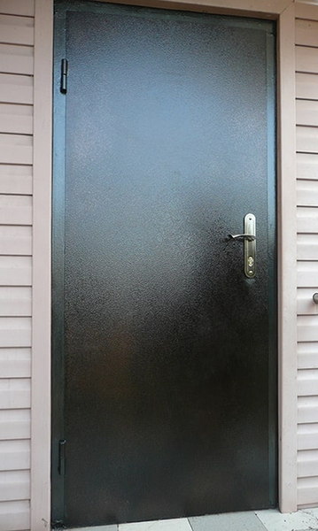 Глухая порошковая дверь