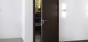 Коричневые металлические двери