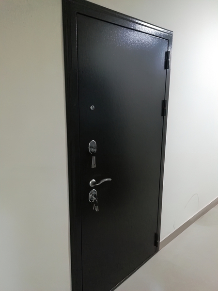 Квартирная дверь