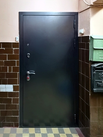 Квартирная дверь с порошковой отделкой