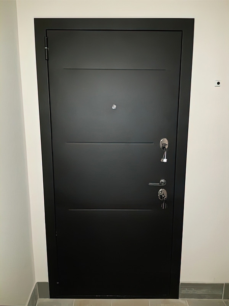 Квартирная дверь с рисунком на металле