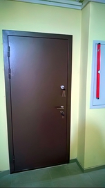 Однопольная коричневая дверь