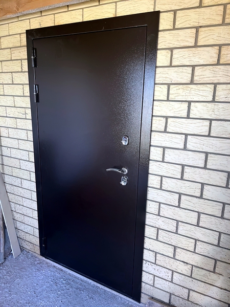 Порошковая дверь для дачного дома