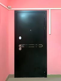 Порошковая дверь с хромированным декором
