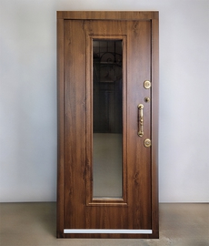 Порошковая дверь с ковкой и стеклом